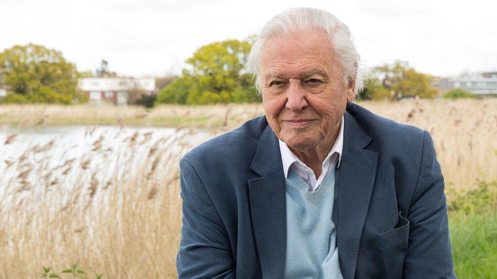 Sir David Attenborough.