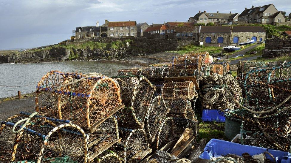 Lobster and crab pots next to Craster harbour