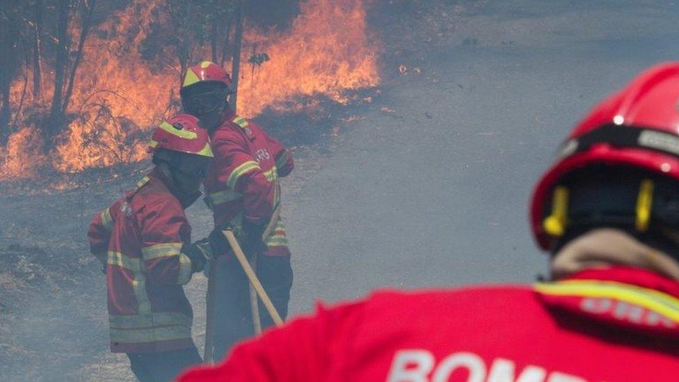 Firefighters battle a forest fire in Figueiro dos Vinhos, central Portugal, 18 June 2017.