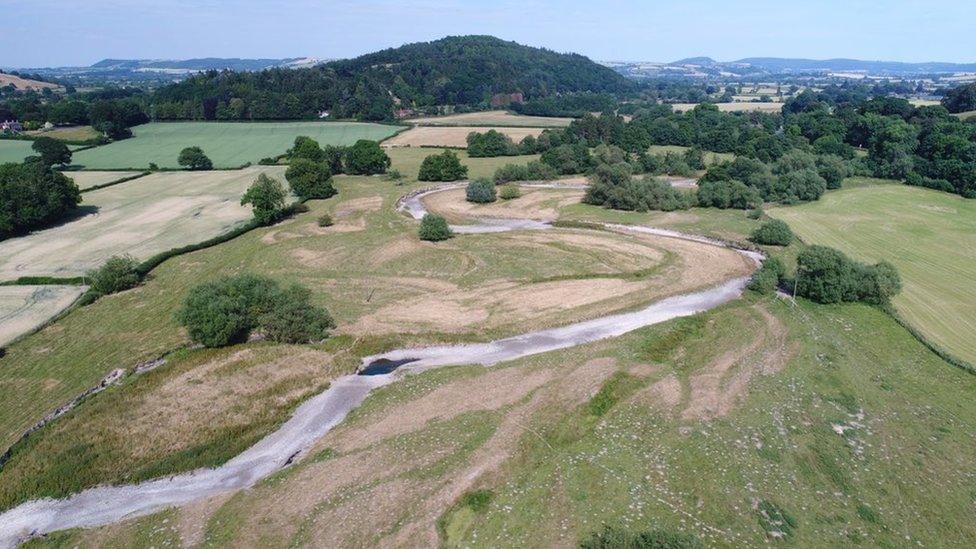 Drying out of the upper River Teme