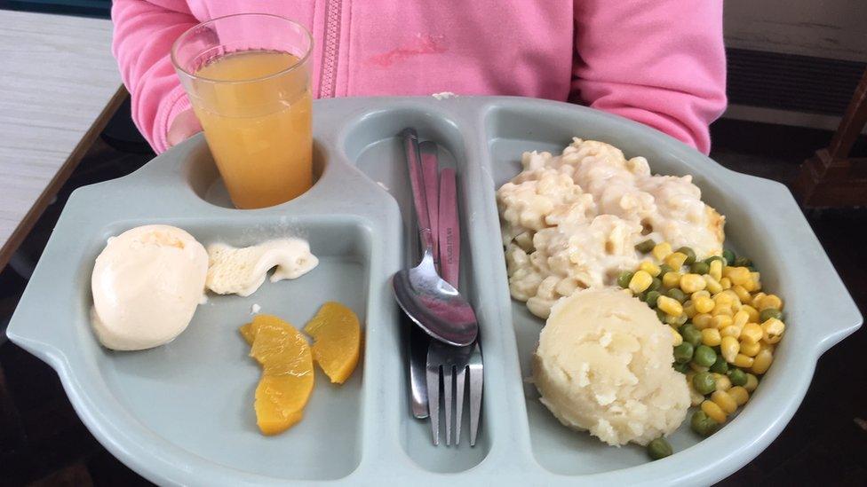 A child holding a school dinner