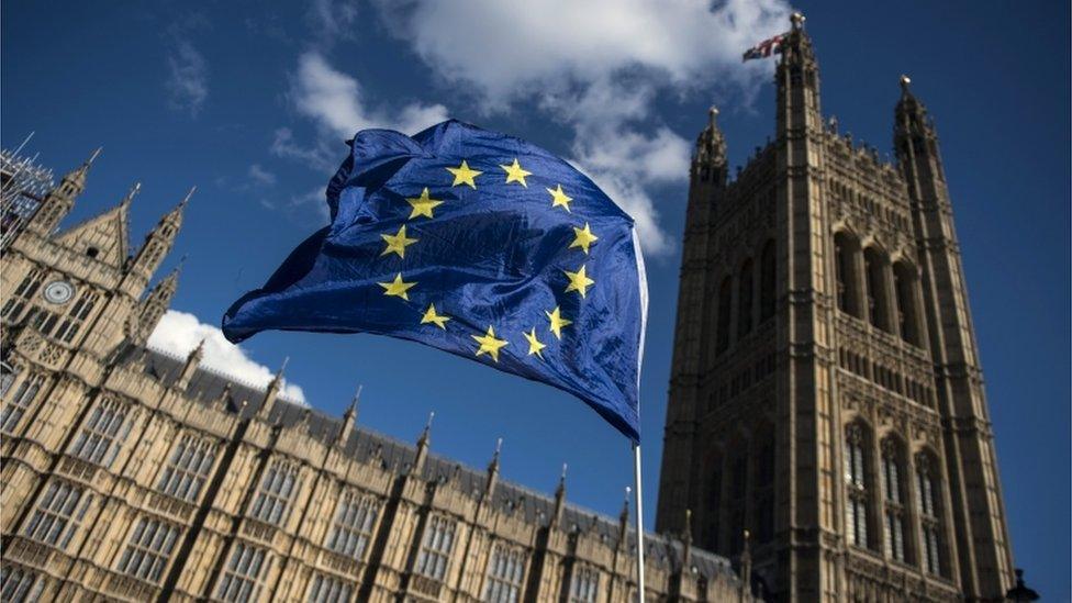 EU flag outside Westminster