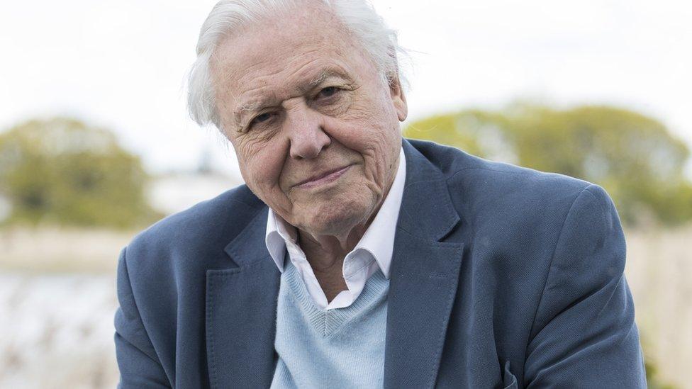 Sir David Attenborough