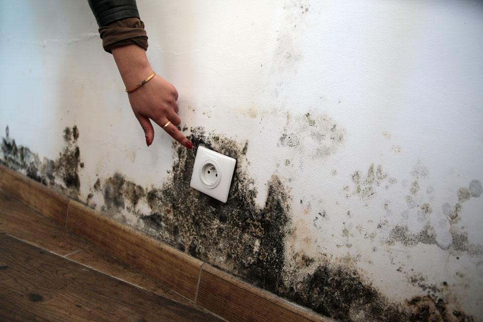 Mould growing round a socket in Jennifer Mbon's apartment