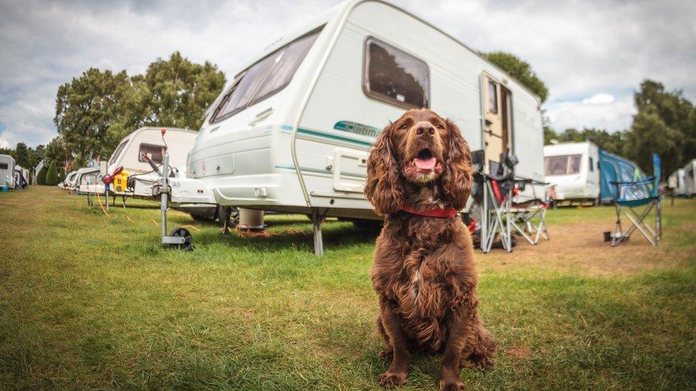 Dog with caravan