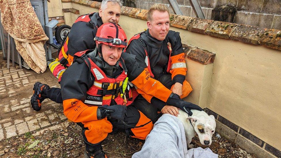 Dog with firefighters