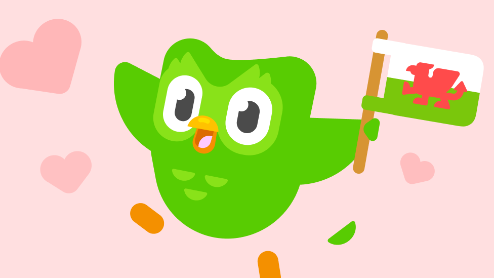 Logo Duolingo