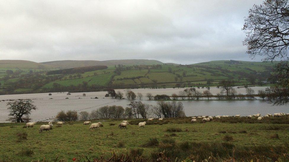 Flooded fields in llanuwchllyn , Bala