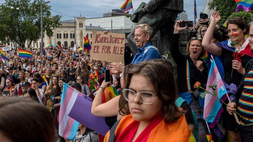 Image shows Pride protesters