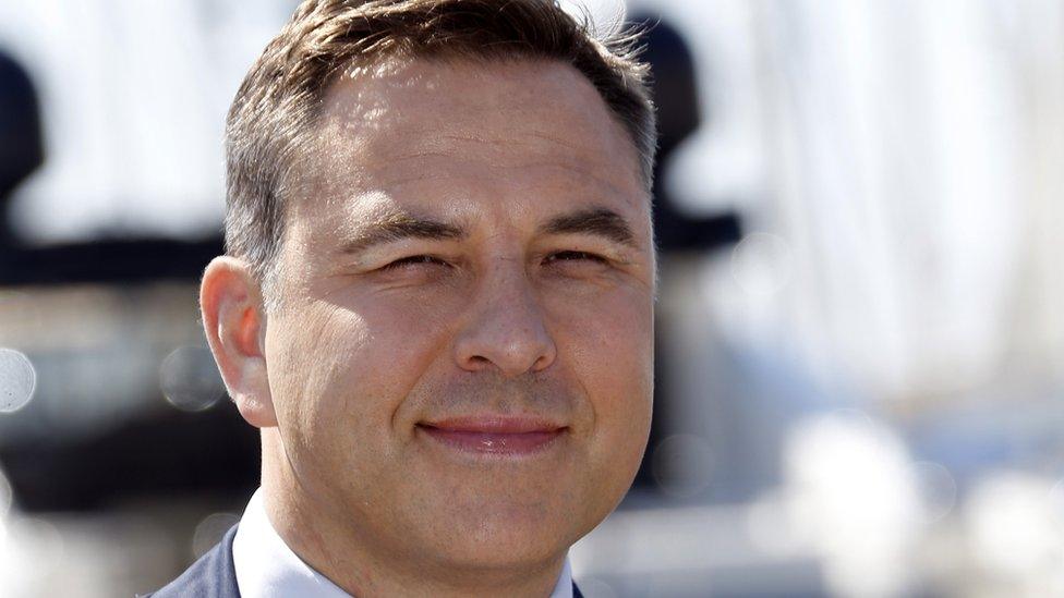 David Walliams