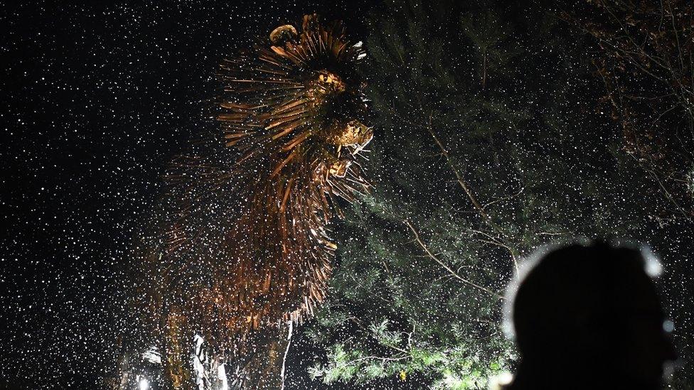 A statue of CS Lewis' most famous character, the lion Aslan, from The Chronicles of Narnia, was revealed to the public