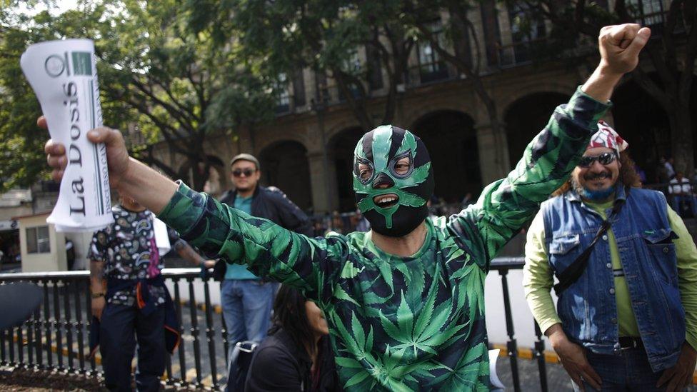 A supporter of marijuana legalisation celebrates