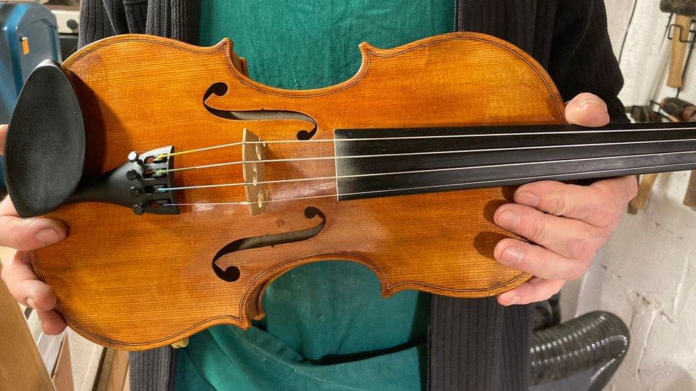 Vegan violin