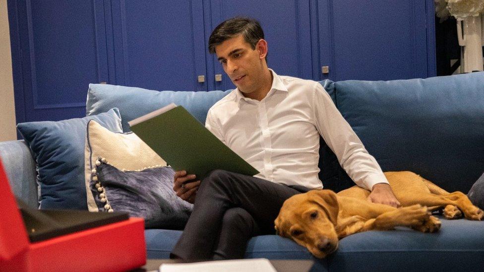 Rishi Sunak with red Labrador puppy Nova