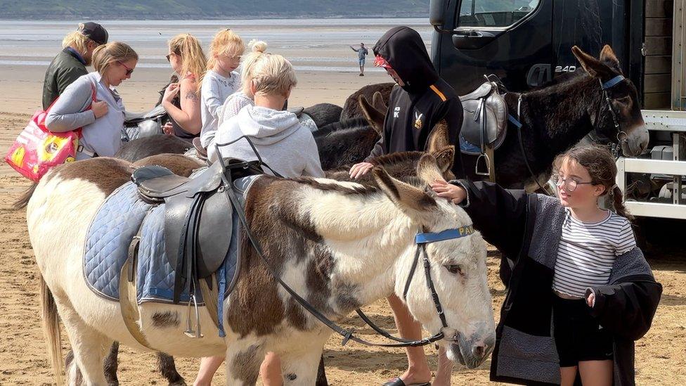 Donkey Rides on Weston beach