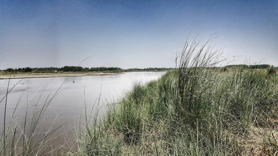 The site of the battle on the island of the Ravi river on the India-Pakistan border