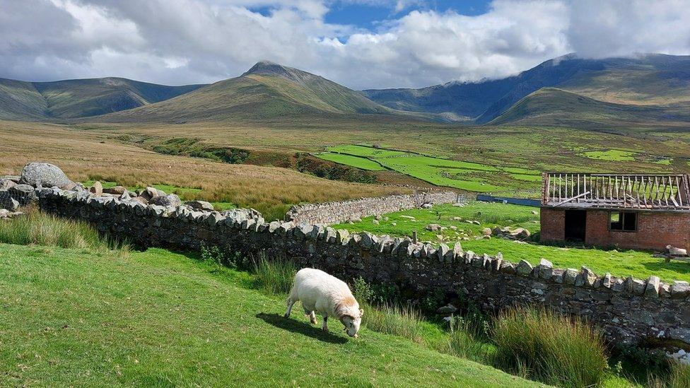 Carneddau