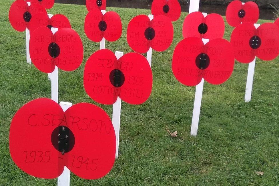 Poppies in the grass