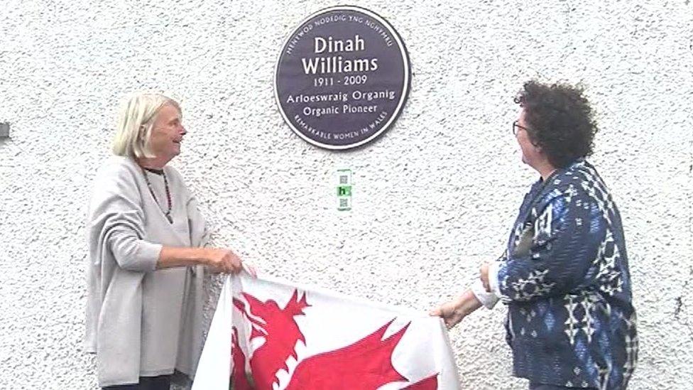 Elin Jones MS and Anne Evans unveil the plaque