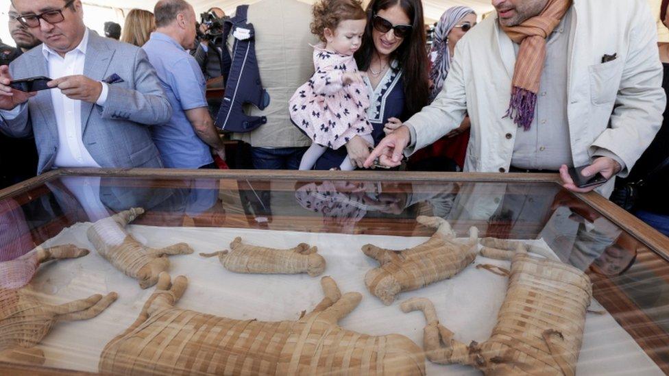 Mummified cat statues that were found inside a cache at the Saqqara necropolis south of Cairo