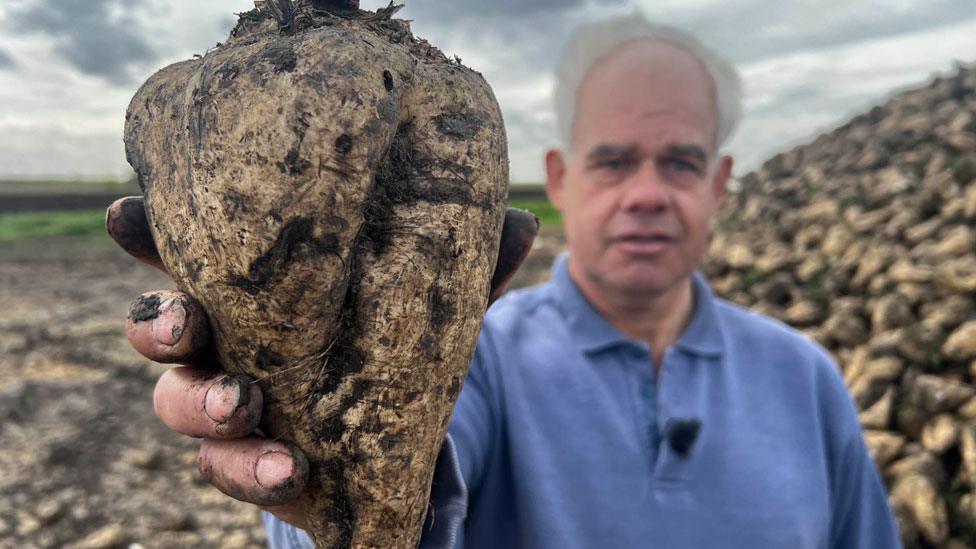 Farmer George Munns wearing a blue top holding a sugar beet up to the camera