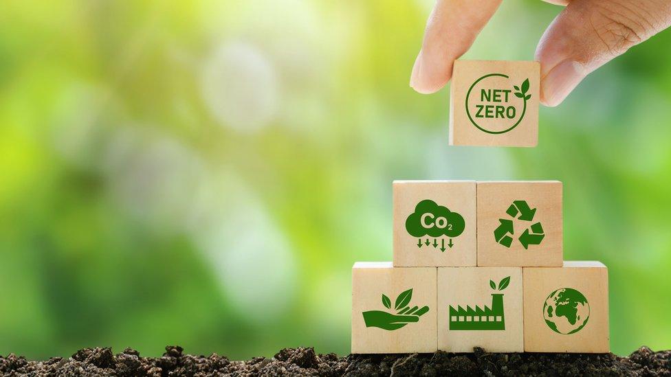 building blocks with environmental labels on them