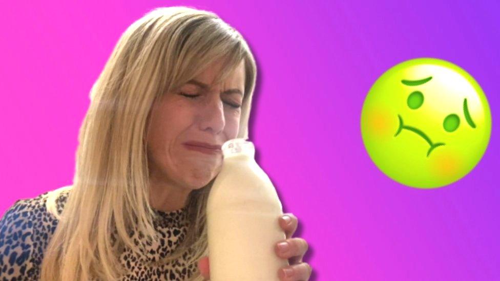 jenny sniffing milk