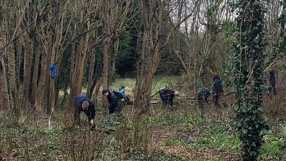 tree planting in orangefield park belfast