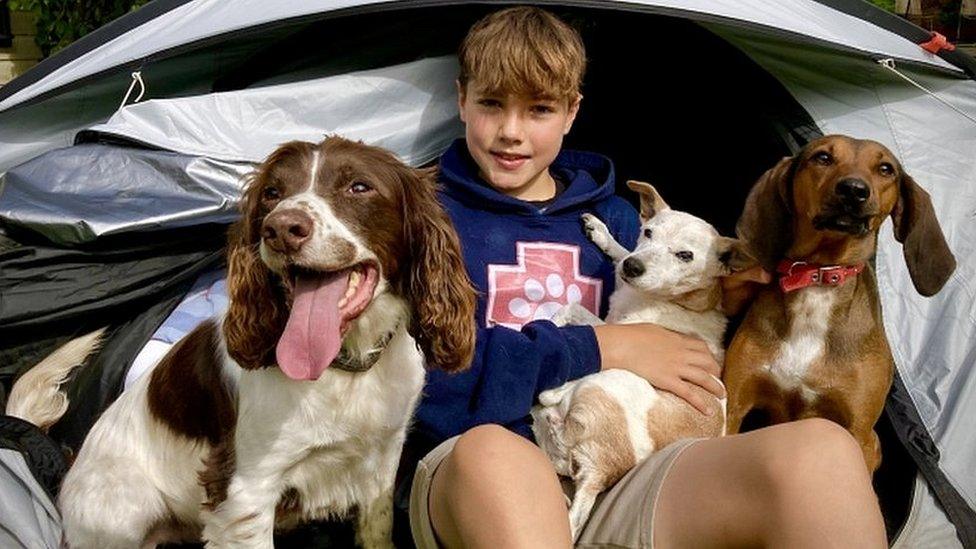 Ashley in his tent with his three dogs