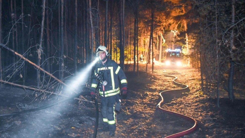 A fireman walks through a burned forest on 24 August in Klausdorf, north-eastern Germany