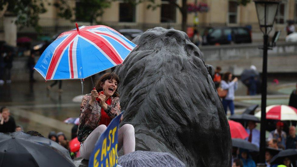 Anti-Brexit protester