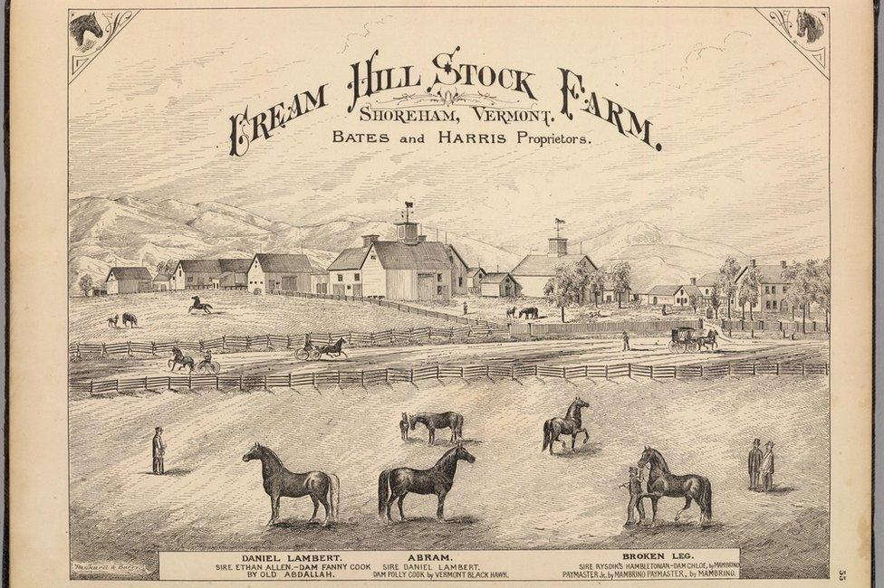 This image of Cream Hill Stock Farm, originally published by H.W. Burgett and Company, is housed in the David Rumsey Historical Map Collection. (published under Creative Commons license)