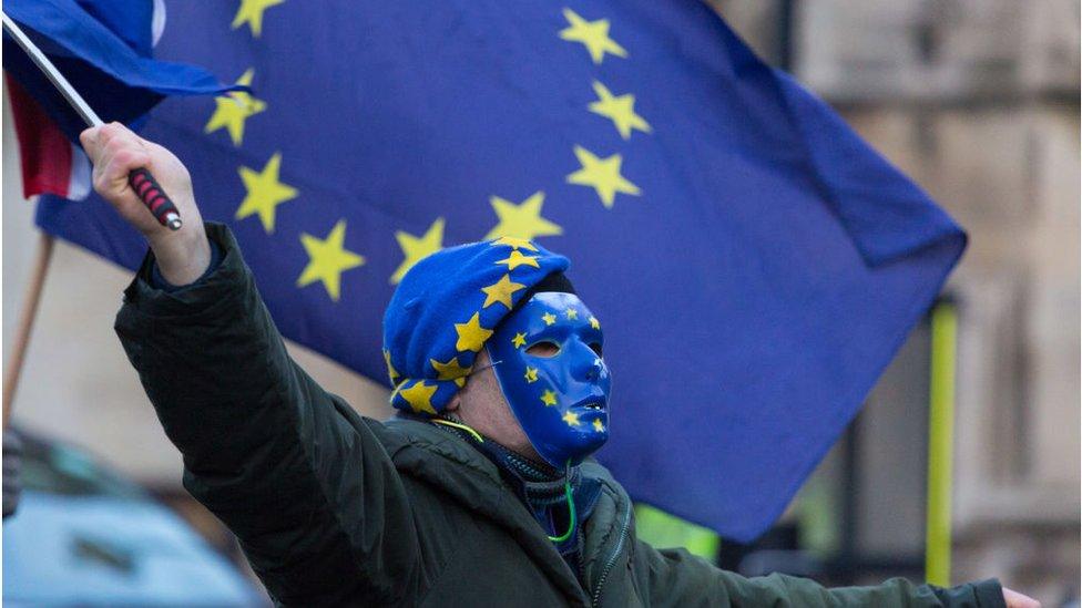 EU campaigner