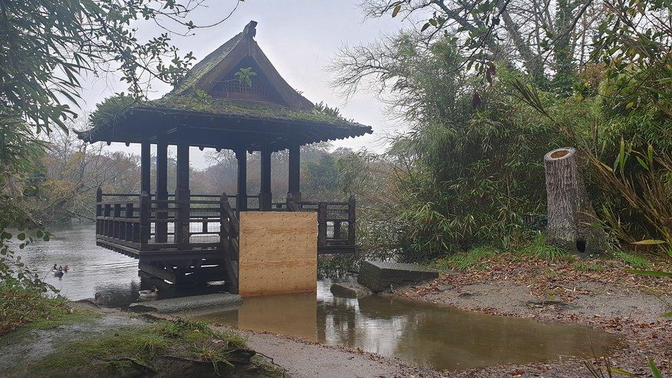 Saumarez Park Japanese fishing hut