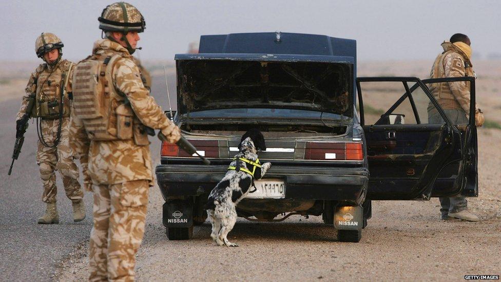 A sniffer dog at work