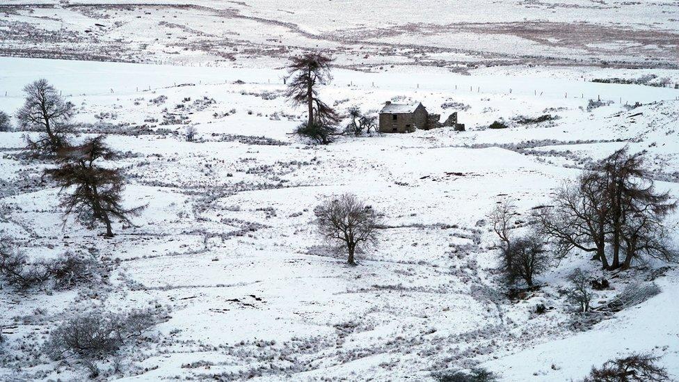 Snow on fields and trees and an abandoned farm