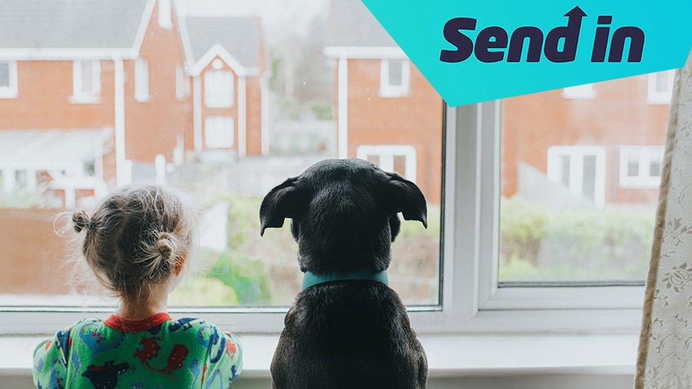 girl and dog looking out of window with "send in" written above