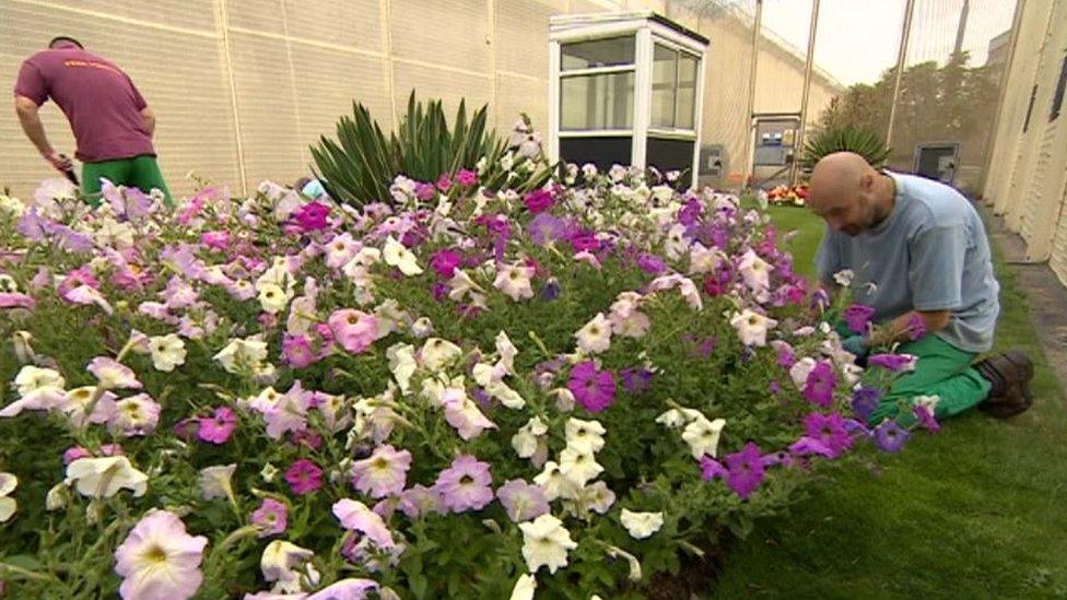 The garden at HMP Hull