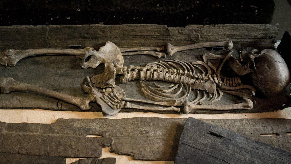 Skeleton of a Viking woman found in York