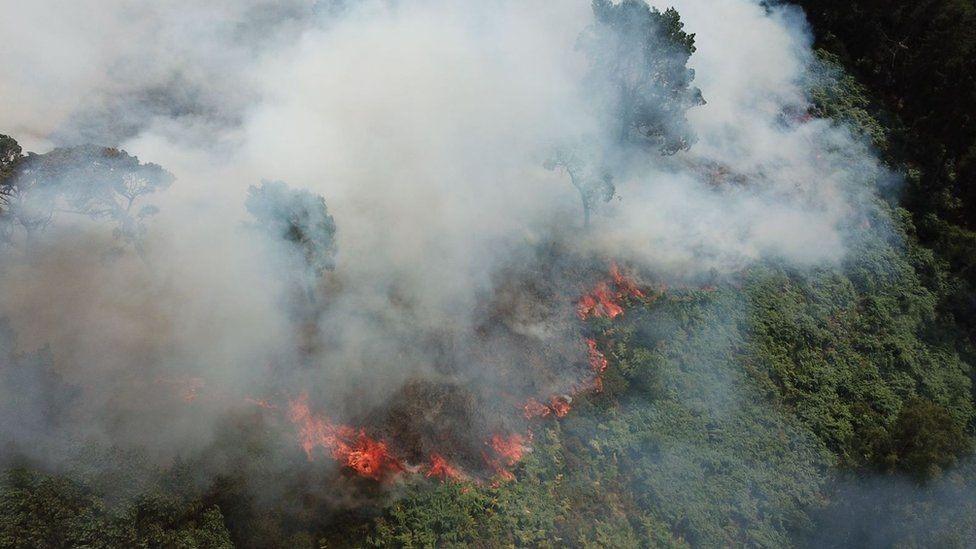 Fire on Lickey Hills