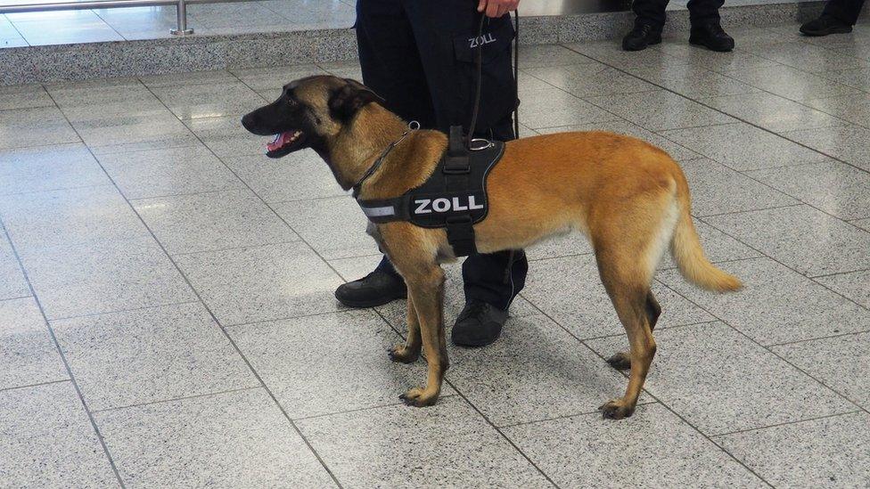 Aki at Frankfurt am Main airport