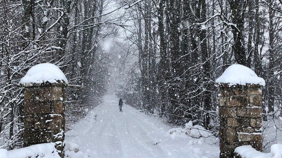 Snow at Auchleven