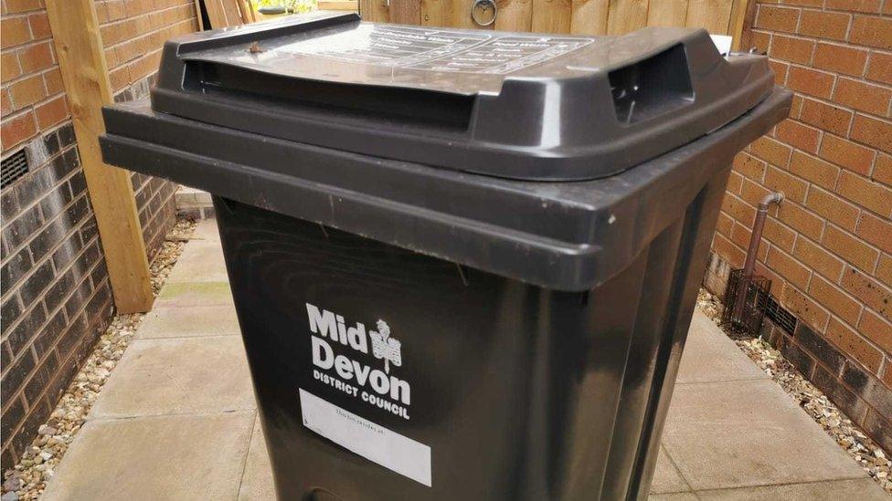 A photo of a wheelie bin