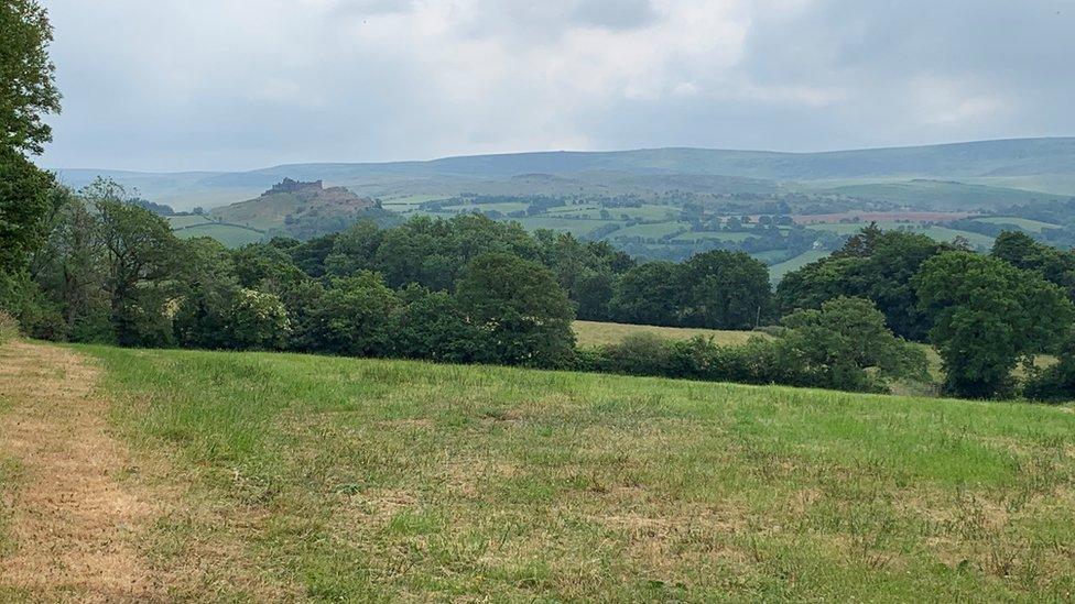 Dyffryn Cennen