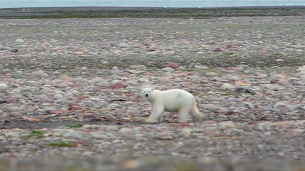 Nunavut