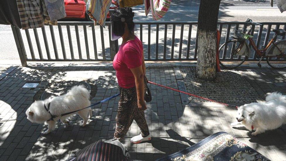 A woman in Beijing walks her dogs during the Covid-19 pandemic