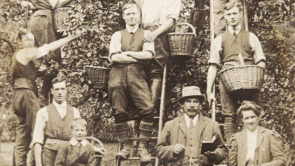 A family of growers picking fruit