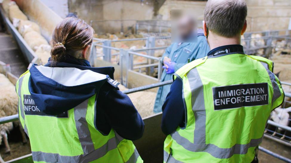 Enforcement officers and suspect at abattoir