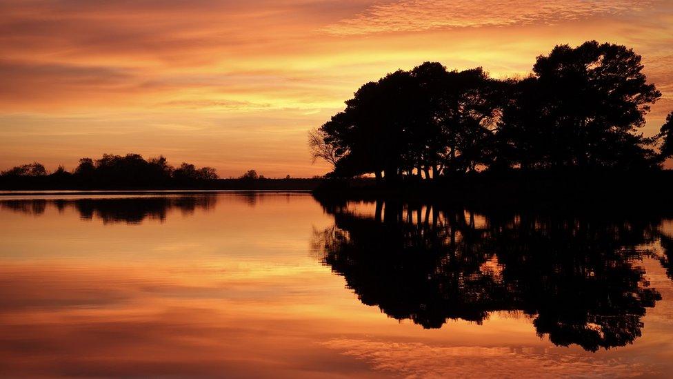 THURSDAY - Hatchet Pond, New Forest.