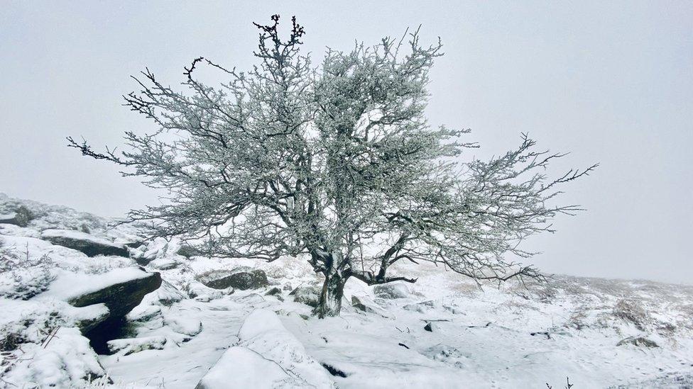 Snow in east Dartmoor